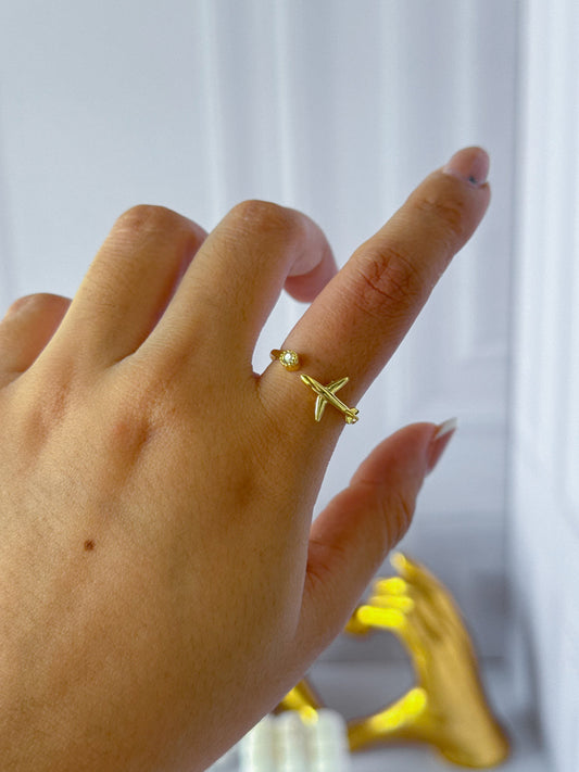 Ring airplane
