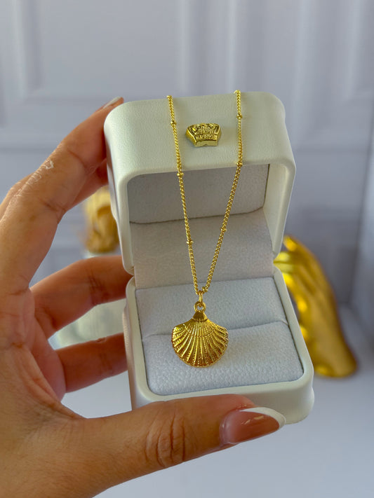 Seashell chain