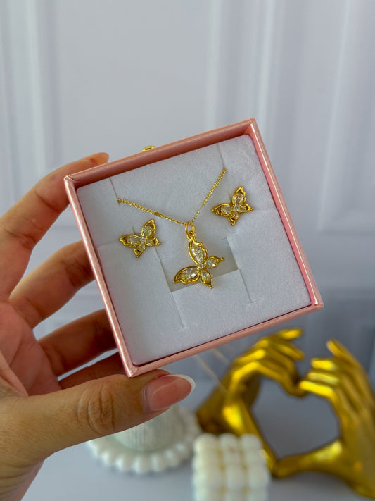 Combo mariposa con caja corazón